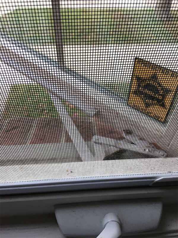 User submitted a photo of a window operator.