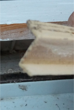 User submitted image of their weatherstripping.