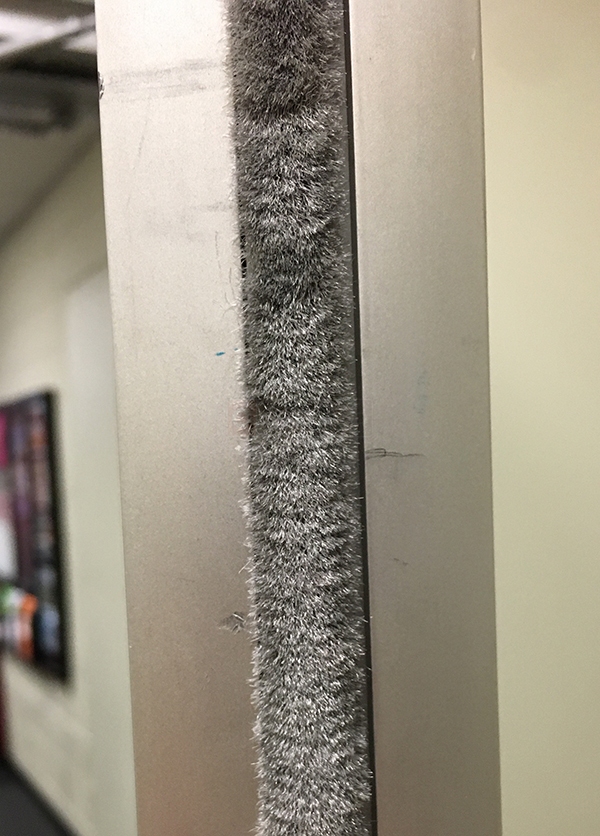 User submitted a photo of wool pile.