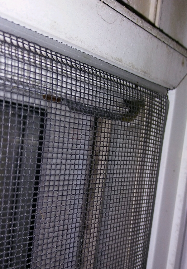 User submitted a photo of window hardware.