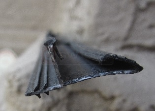 door seal