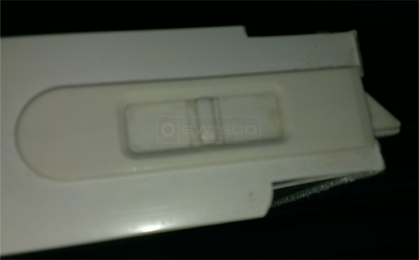 User submitted image of their window hardware.