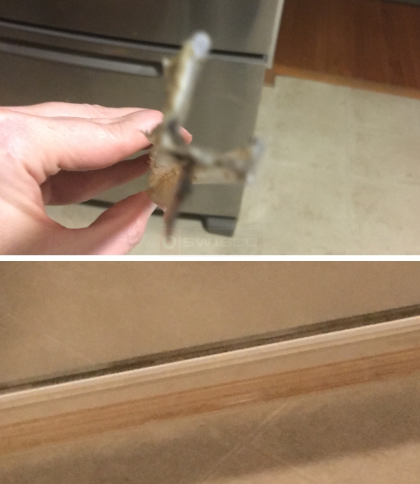 User submitted photos of shower door hardware.