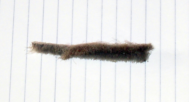 User submitted photos of wool pile.