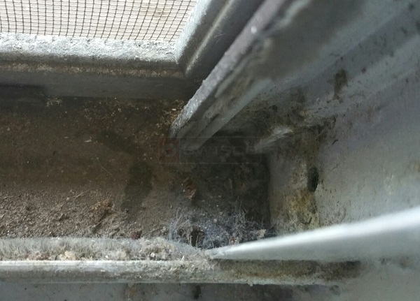weatherstripping