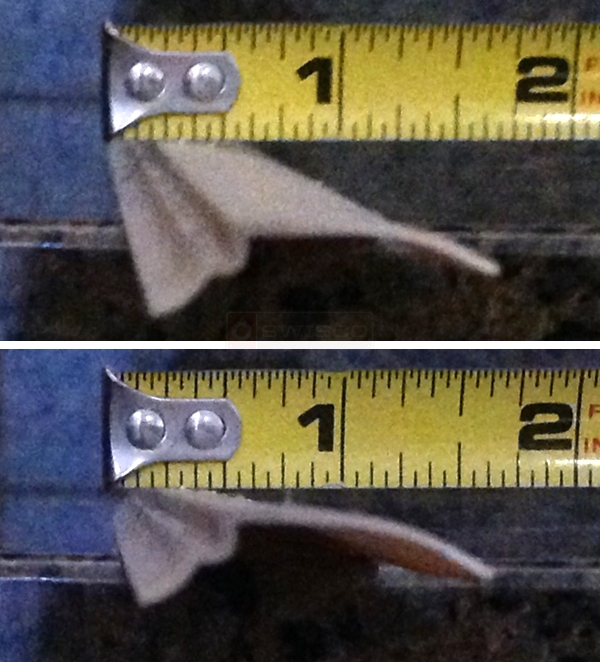 User submitted photos of a glazing bead.