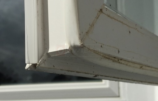 Casement window