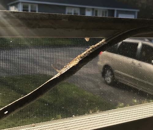 screen weatherstrip