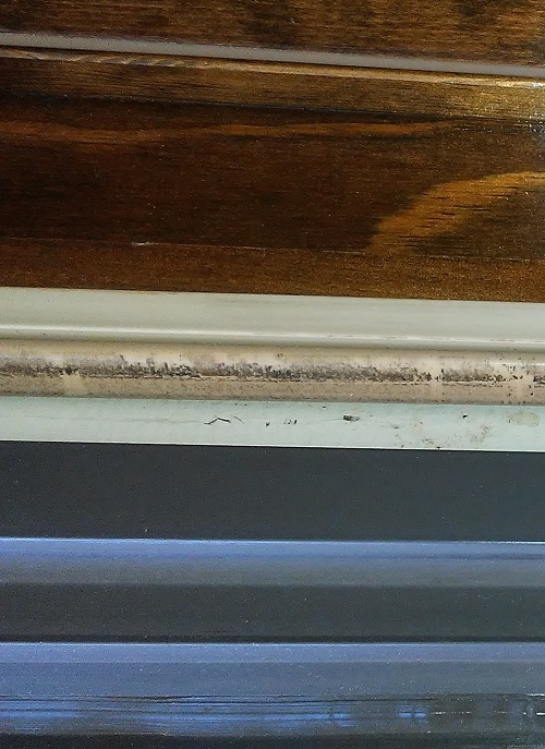 rubber strip on door