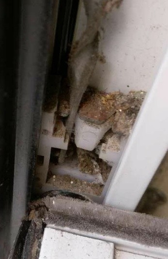 pivot shoe