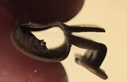 weatherseal