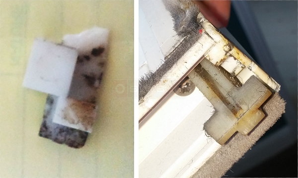 Window latch