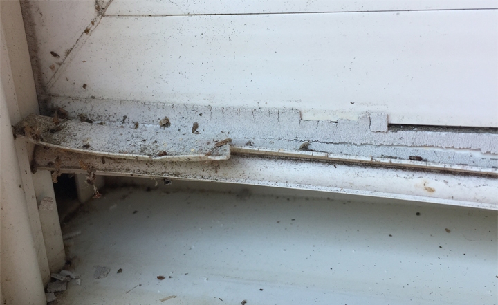 Can you identify this for me.