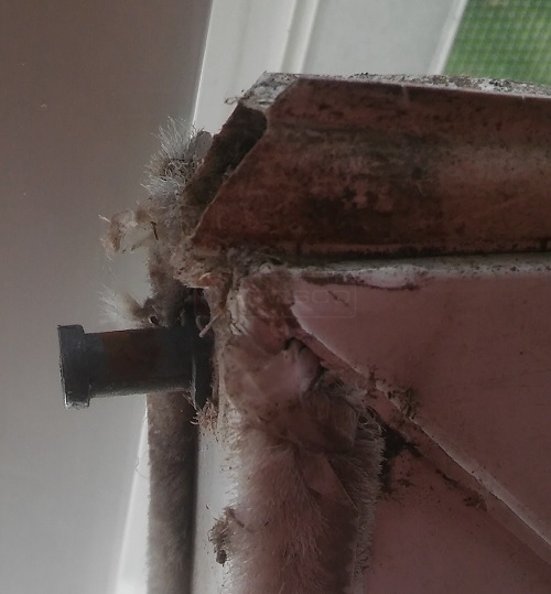 window pivot pin