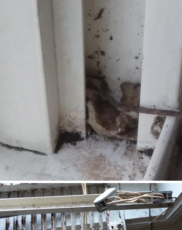 User submitted photos of a window balance.
