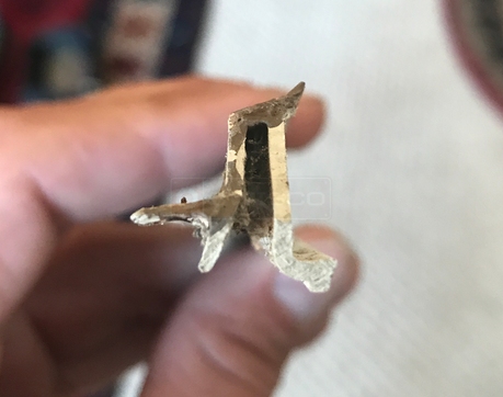 Glazing insert