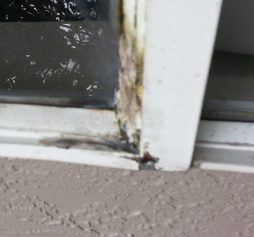 window sash