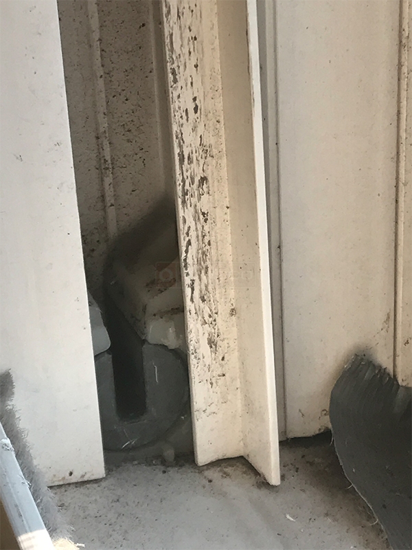 User submitted photos of a pivot shoe.