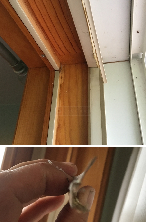 User submitted photos of weather seal.