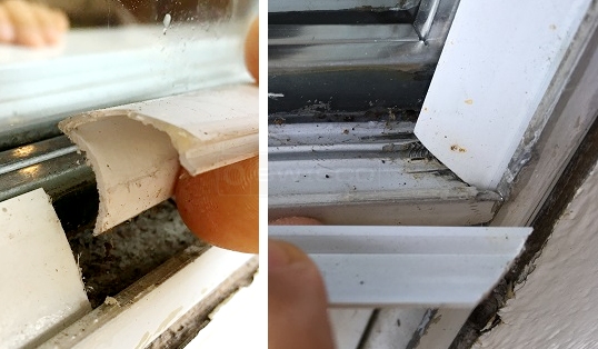 Window Glazing bead