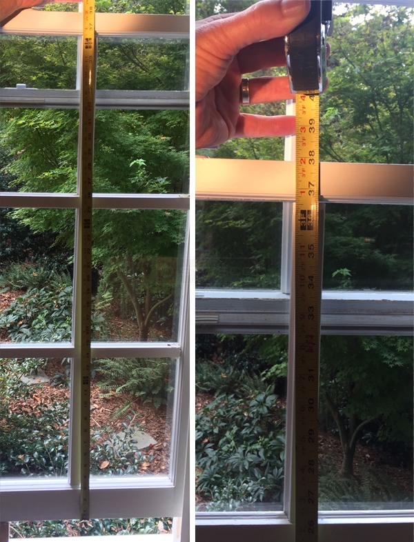 Window size