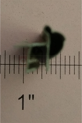 User submitted image of their weatherseal.