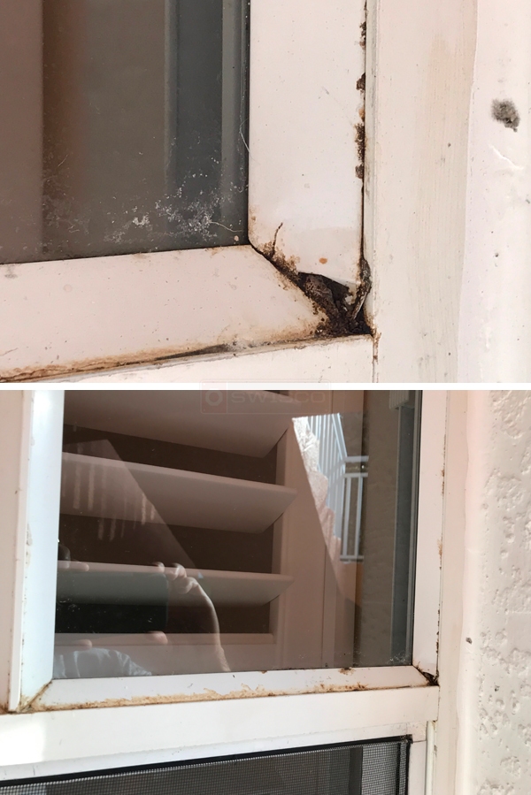 User submitted photos of snap-in glazing.