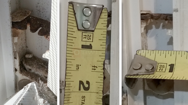 Pivot shoe
