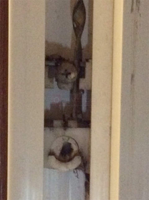 User submitted photos of a pivot shoe.