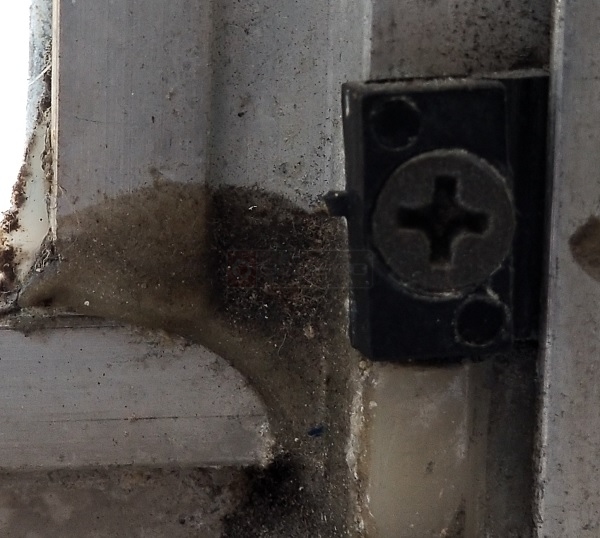 window clip