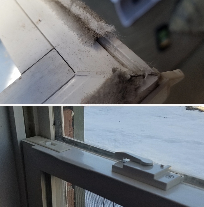 Wool pile weatherstripping