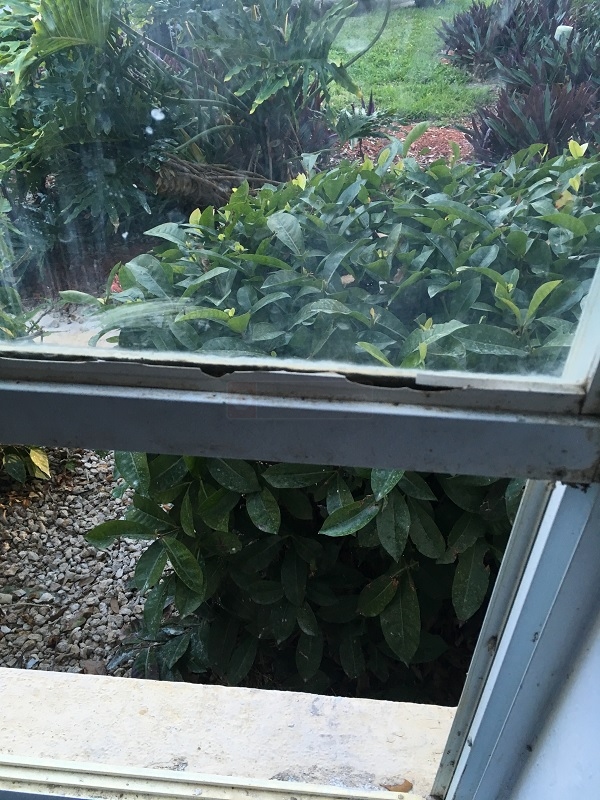 window snap in