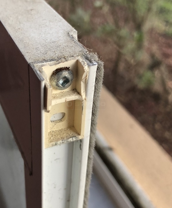 window cam