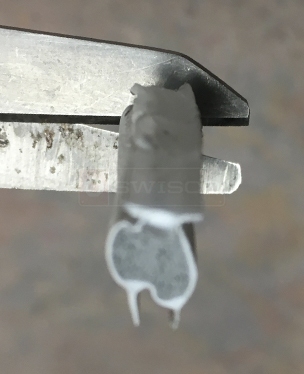 Window weather stripping foam seal