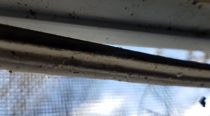 Vinyl weatherstripping