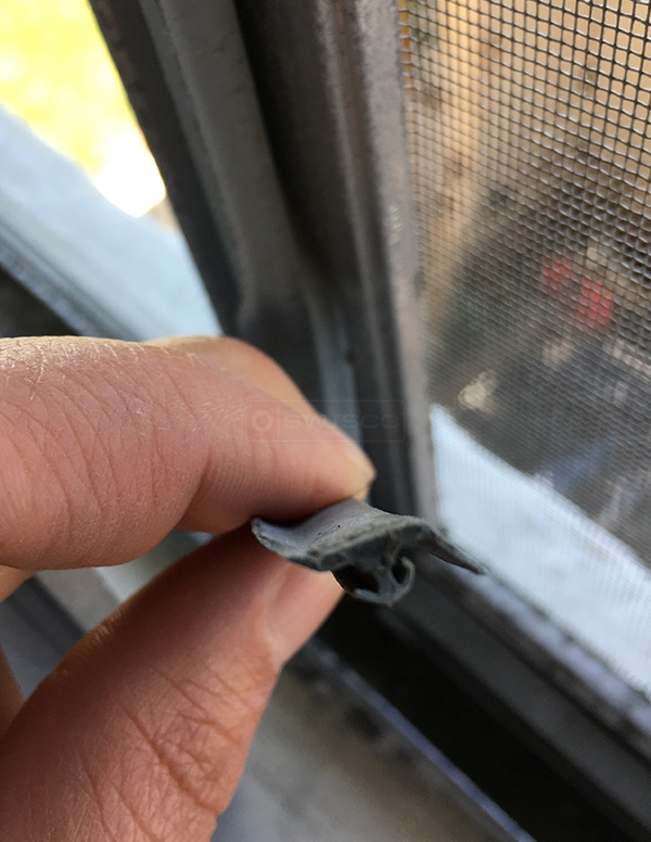 User submitted a photo of screen spline.
