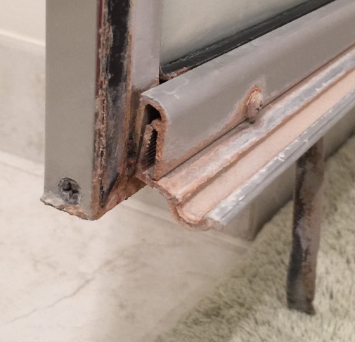 Shower door sweep
