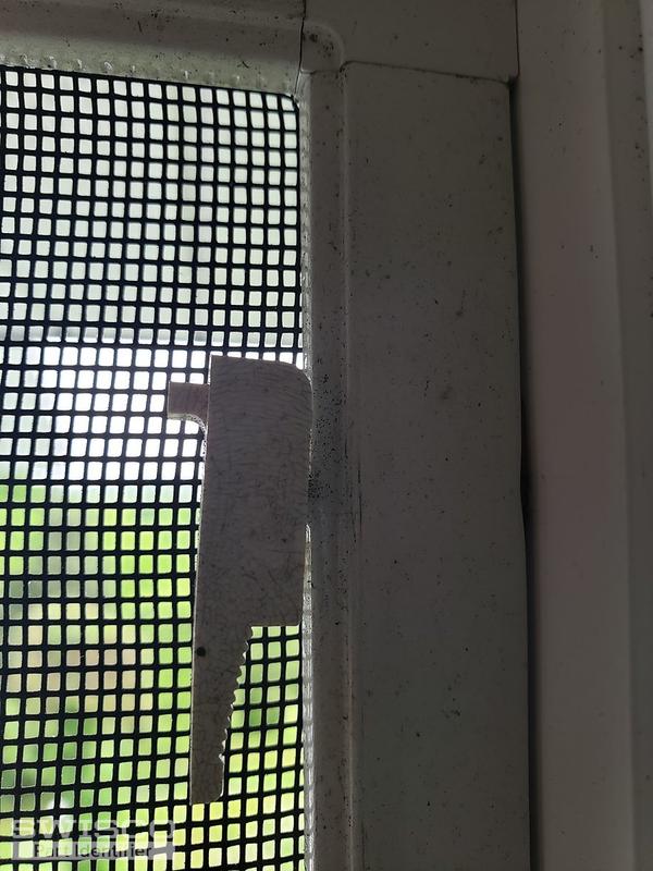 levered spring pins for window screens