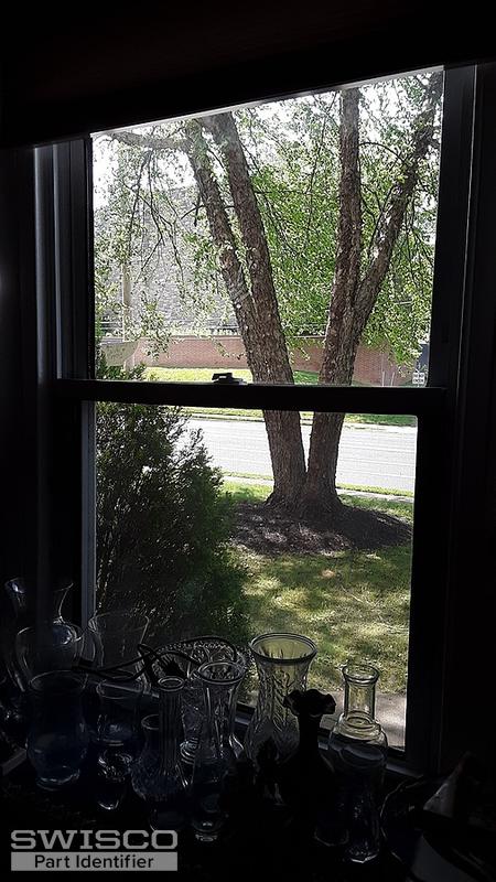 20190520_155013