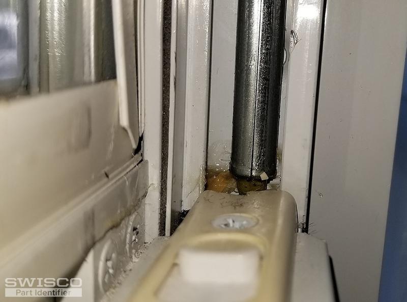 Thumbnail of the uploaded file named 20190529_101251.jpg