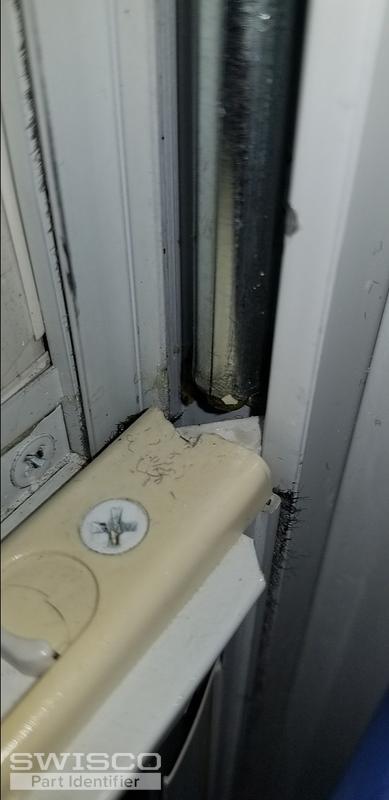 Thumbnail of the uploaded file named 20190529_101236.jpg
