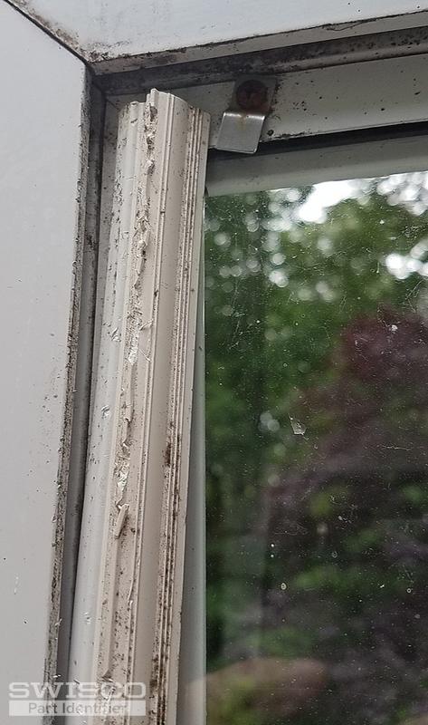 20190602_172722