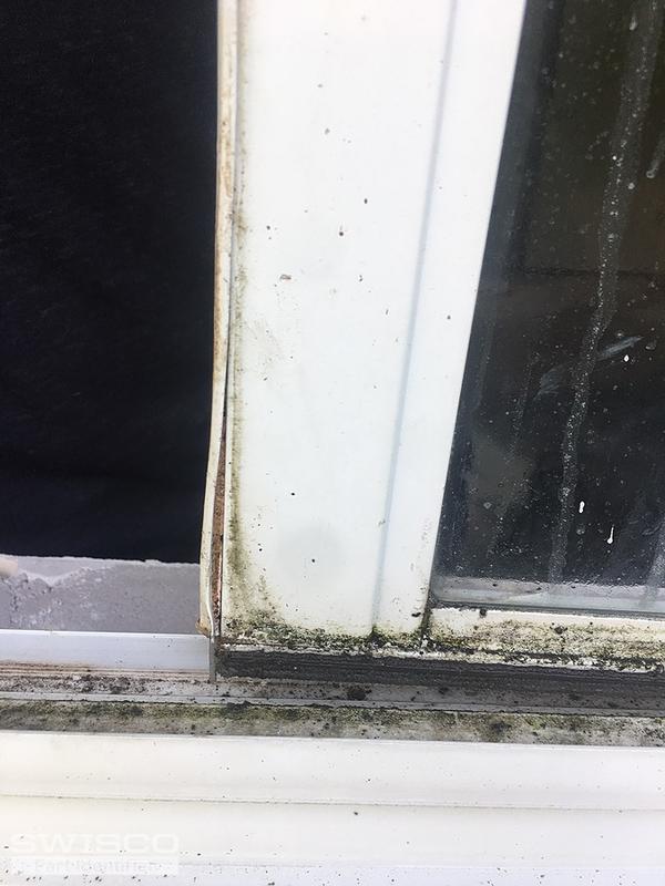Windows are leaking