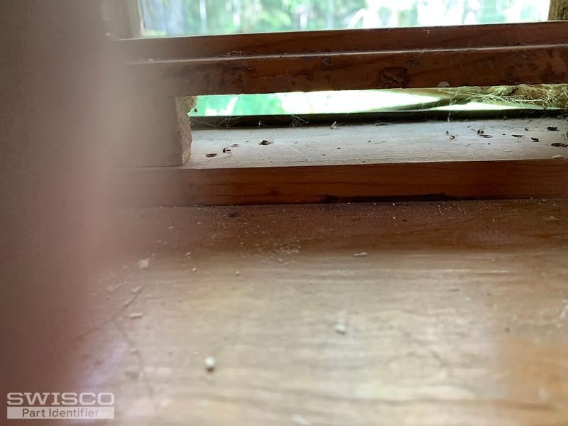 tall window  1