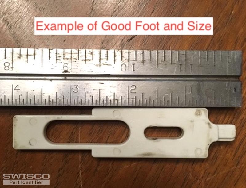 Foot Lenght 1 of 3 Foot Photos0288