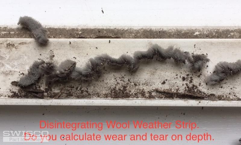 Wool Weather Strip 0286