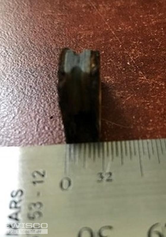 Thumbnail of the uploaded file named one-quarter-inch-wide.jpg