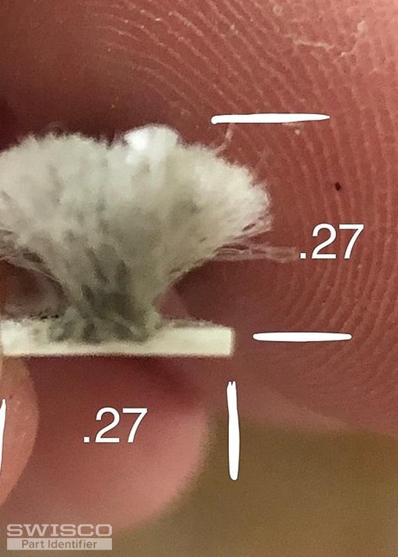 Double Hung Window Seals