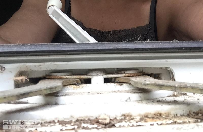 Window#2
