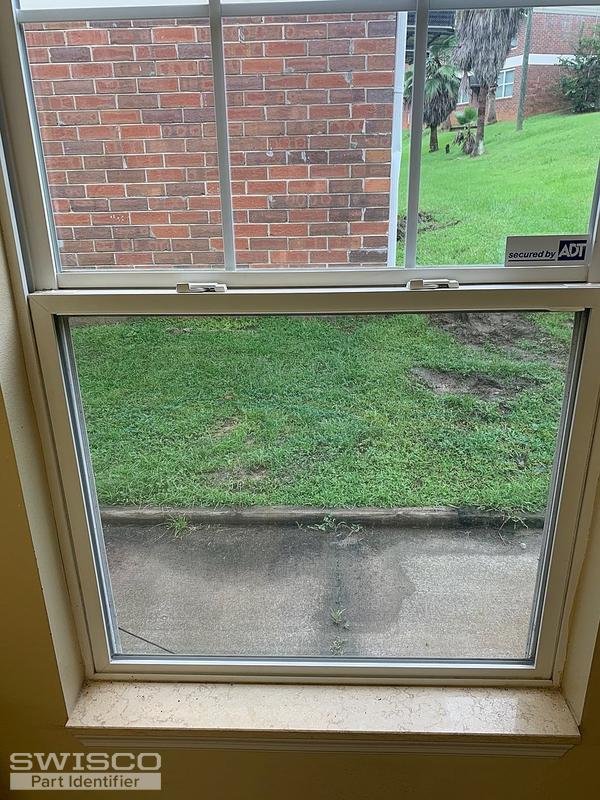 window4